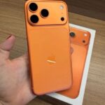 WhatsApp Image 2026-02-02 at 17.50.20